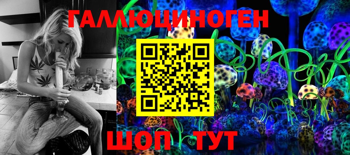 Гатчина  Псилоцибиновые грибы GOLDEN TEACHER  Вход с VPN 