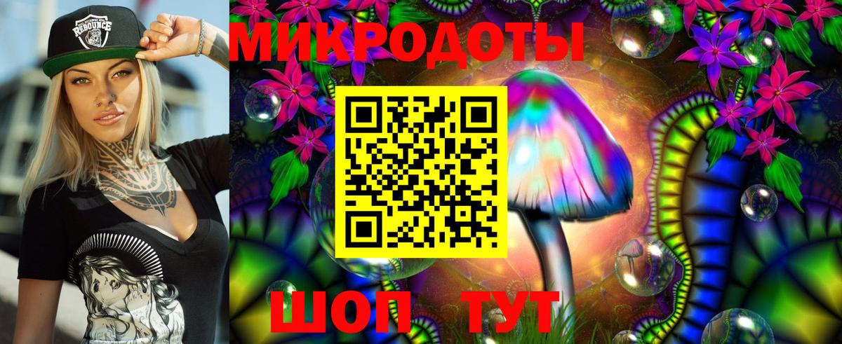 Псилоцибиновые грибы MAGIC MUSHROOMS Гатчина